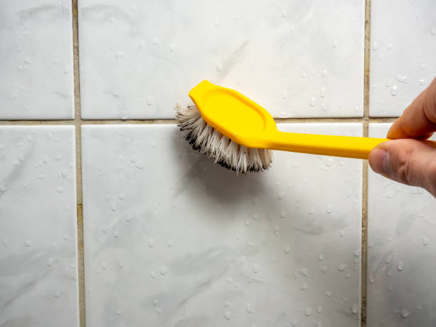Best Mold Remediation for Schools in Beechwood, MI