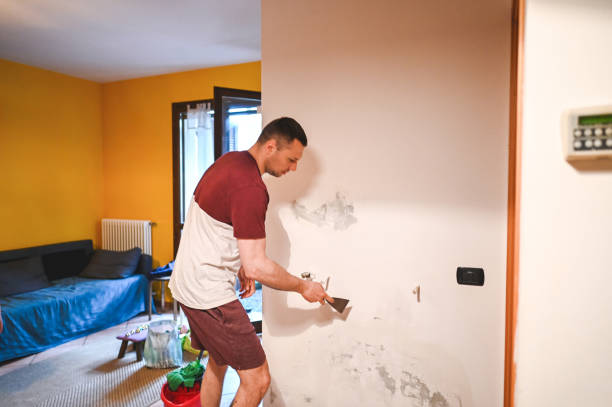 Best Residential Mold Remediation in Beechwood, MI